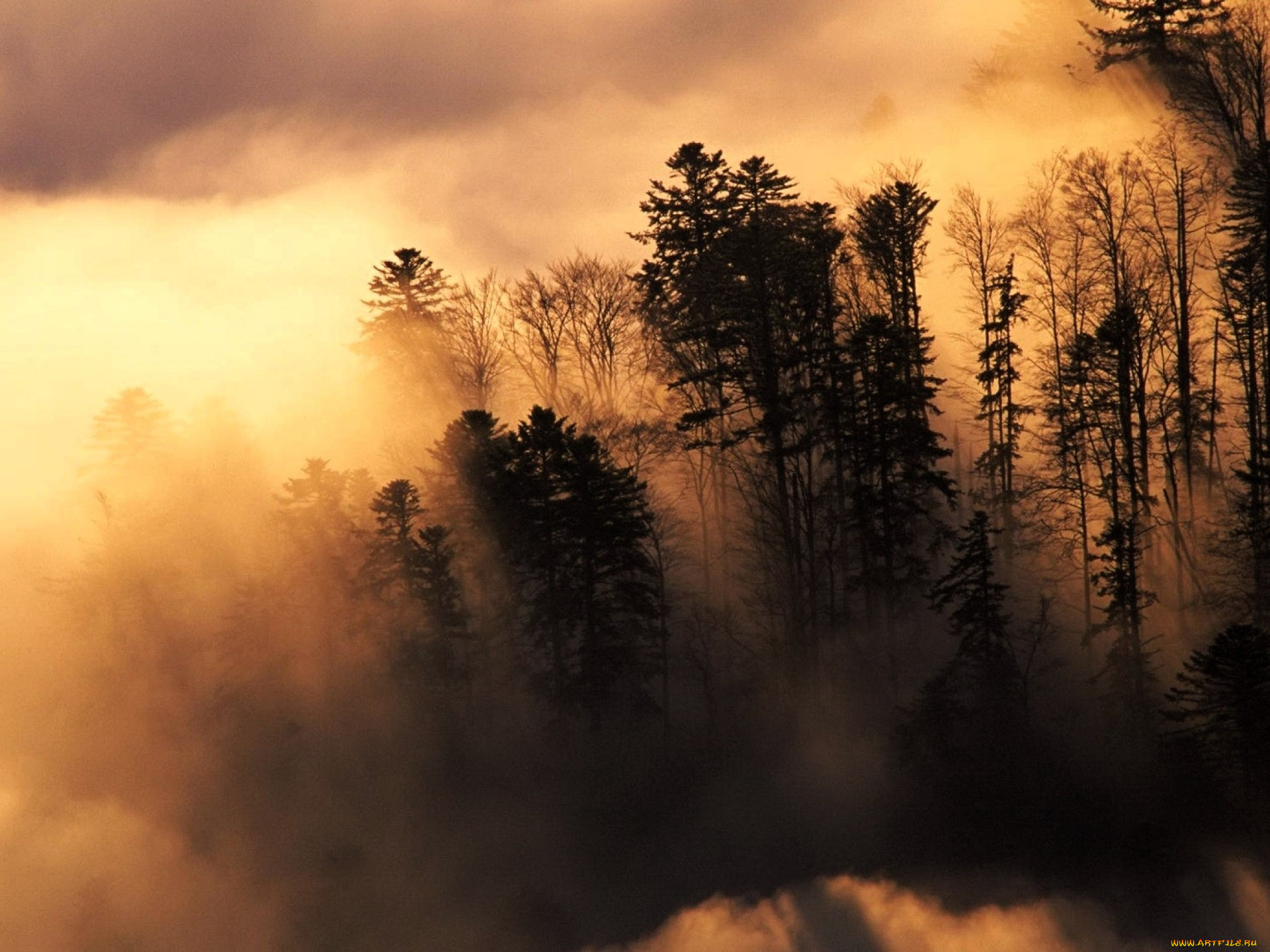 �������, �������, ���, �����